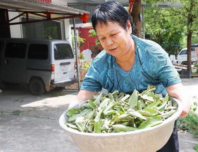 Những tiếng nổ sau chiến tranh: Nỗi đau dai dẳng, xé lòng ảnh 1