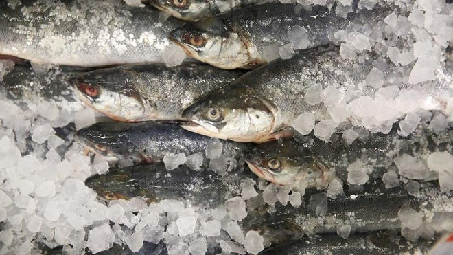 Lo ngại mức độ phóng xạ, Hàn Quốc cấm nhập khẩu hải sản từ Nhật Bản ảnh 1