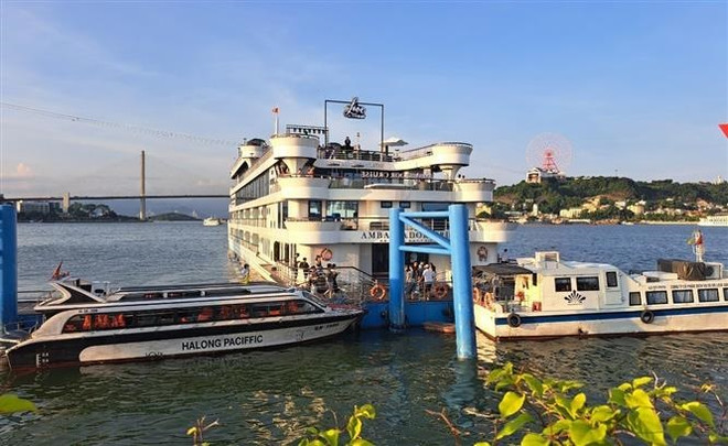 Quảng Ninh: Hết thí điểm, Phố đêm du thuyền đang hoạt động trái phép? ảnh 2