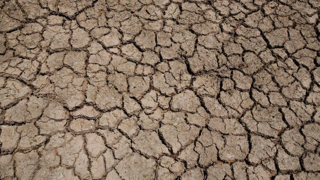 Thái Lan, Nam Phi đối mặt nguy cơ mất mùa do hạn hán kéo dài ảnh 1