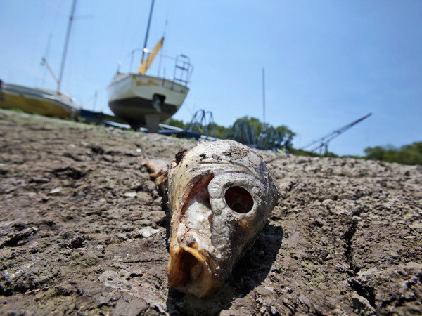 Biến đổi khí hậu - nguyên nhân làm gia tăng chủ nghĩa khủng bố ảnh 1