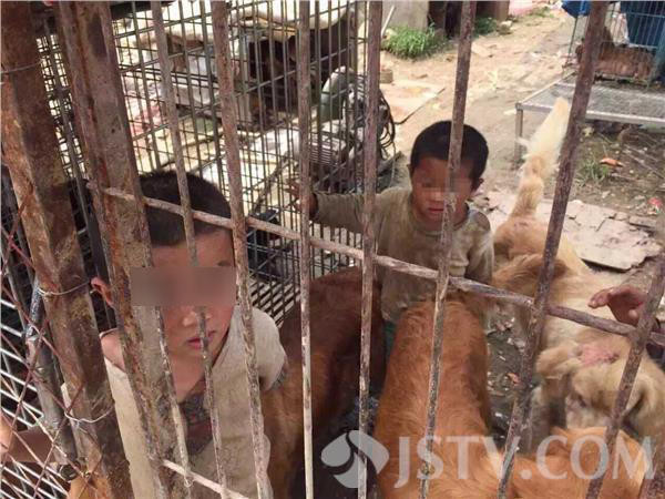 Rớt nước mắt với câu chuyện của hai đứa trẻ sống chung cùng chó ảnh 1