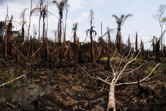 Suy thoái tài nguyên thiên nhiên hủy hoại thành tựu y tế trong 150 năm ảnh 1