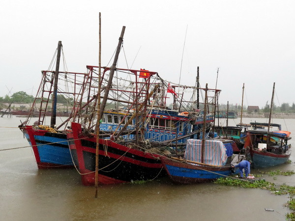 Bão số 2 suy yếu thành áp thấp nhiệt đới, Nam Bộ đề phòng tố lốc ảnh 1