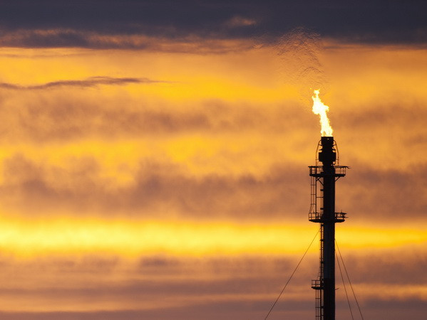 Giá dầu tại New York để tuột mất ngưỡng 50 USD mỗi thùng ảnh 1