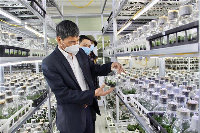 Thúc đẩy ứng dụng khoa học công nghệ phát triển nông nghiệp Thủ đô ảnh 1