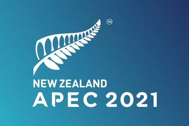 Hội nghị APEC 2021 hướng tới phục hồi bền vững và bao trùm ảnh 1