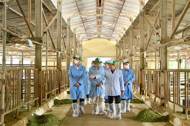 Thúc đẩy ứng dụng khoa học công nghệ phát triển nông nghiệp Thủ đô ảnh 2