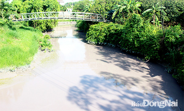 Đồng Nai: Xử lý nghiêm tổ chức, cá nhân liên quan ô nhiễm sông Buông ảnh 1