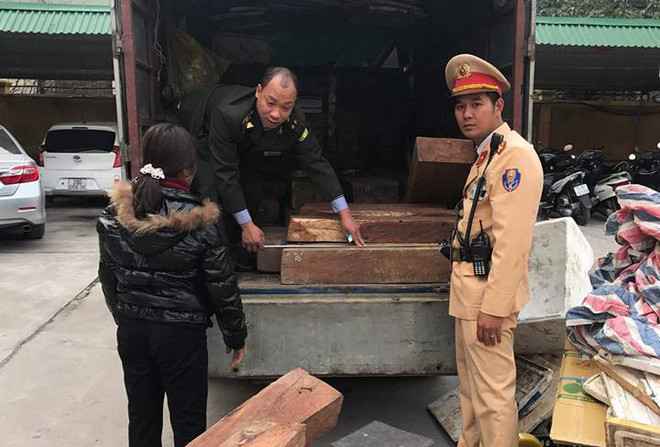 Hà Nội: Bắt quả tang nữ tài xế chở gần 1 tấn gỗ hương lậu ảnh 1