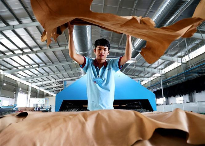 Lao động vững tay nghề có ưu thế trên thị trường lao động ảnh 1