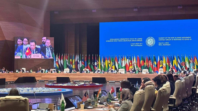 Việt Nam dự Hội nghị cấp cao nhóm liên lạc NAM về ứng phó với COVID-19 ảnh 1