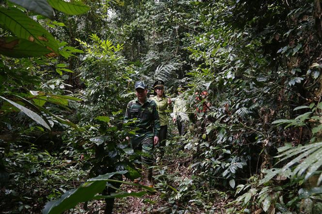 Số lượng lớn lực lượng kiểm lâm xin nghỉ việc, chuyển công tác ảnh 1