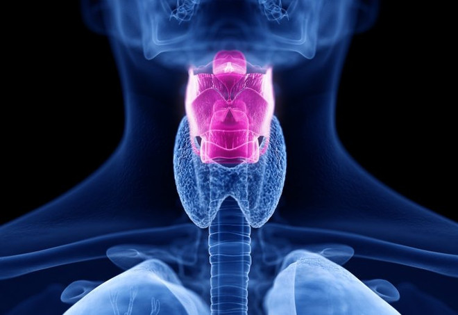 Cổ họng nhân tạo thông minh hỗ trợ bệnh nhân mất dây thanh quản ảnh 1