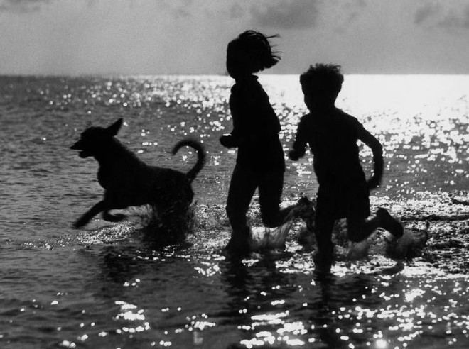 Có con đang trở thành một lựa chọn xa xỉ với người trẻ ở Mỹ ảnh 1