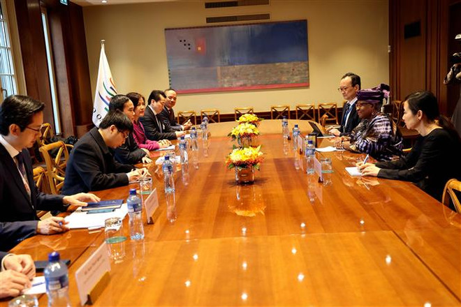 Phó Thủ tướng Trần Lưu Quang gặp lãnh đạo các nước và tổ chức quốc tế ảnh 4