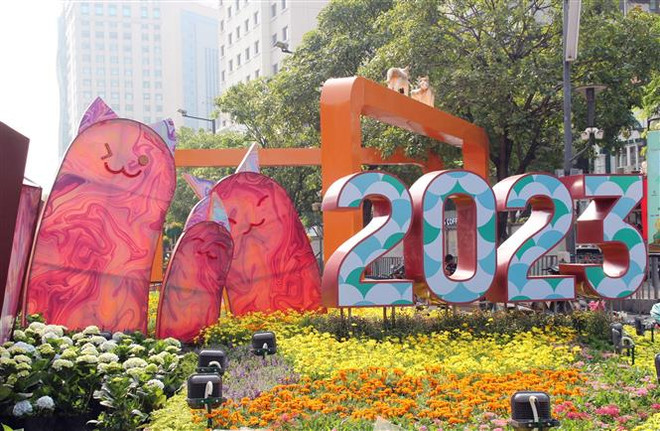 Đường hoa Nguyễn Huệ Thành phố Hồ Chí Minh đánh dấu tuổi 20 rực rỡ ảnh 1