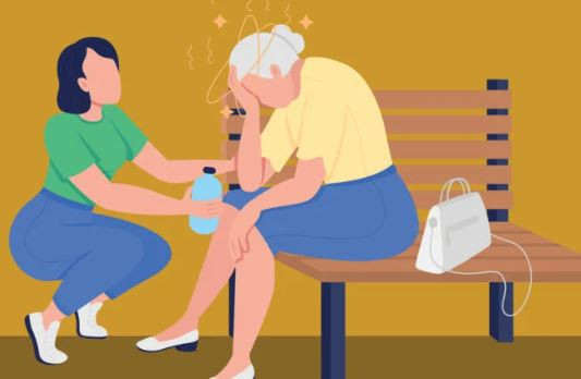 Tìm hiểu về sự khác biệt giữa hiện tượng say nắng và say nóng ảnh 3