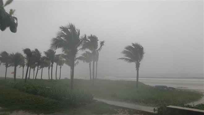 Thông tin mới nhất về đợt mưa lớn diện rộng khốc liệt ở miền Trung ảnh 1