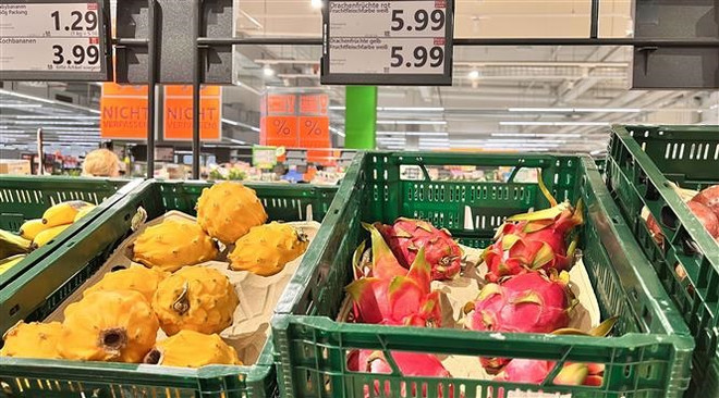 IMF: Xung đột Hamas-Israel có nguy cơ thổi bùng lạm phát ảnh 1