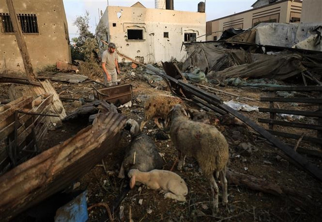 Gaza cần hàng tỷ USD viện trợ nước ngoài để vực dậy nền kinh tế ảnh 1