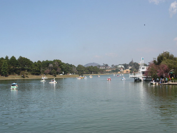 Đà Lạt - điểm đến lý tưởng trong mùa Valentine ảnh 1