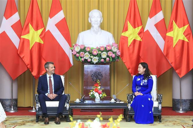 Phó Chủ tịch nước Võ Thị Ánh Xuân hội kiến Thái tử kế vị Đan Mạch ảnh 1