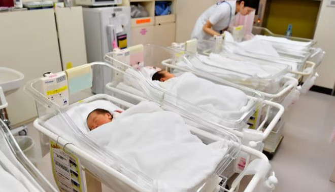 Báo động về tình trạng tỷ lệ sinh giảm mạnh ở Nhật Bản ảnh 1