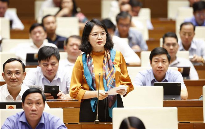 Đại biểu Quốc hội đưa ra nhiều câu hỏi sắc sảo về các vấn đề nóng ảnh 1