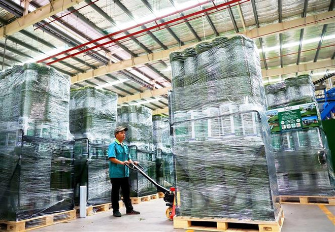 Việt Nam cần làm gì để đẩy mạnh thu hút FDI trong bối cảnh mới? ảnh 1