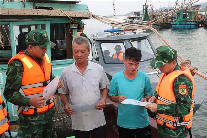 Quảng Ninh phát triển kinh tế thủy sản, chống khai thác bất hợp pháp ảnh 1
