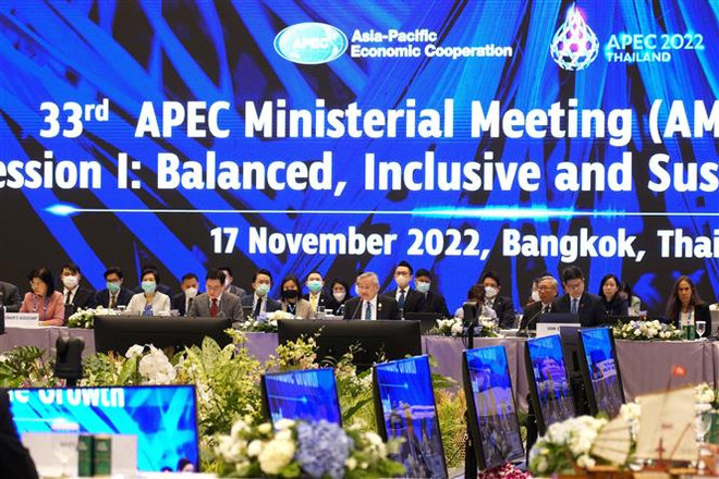 Việt Nam kêu gọi tăng cường sức chống chịu của các nền kinh tế APEC ảnh 2