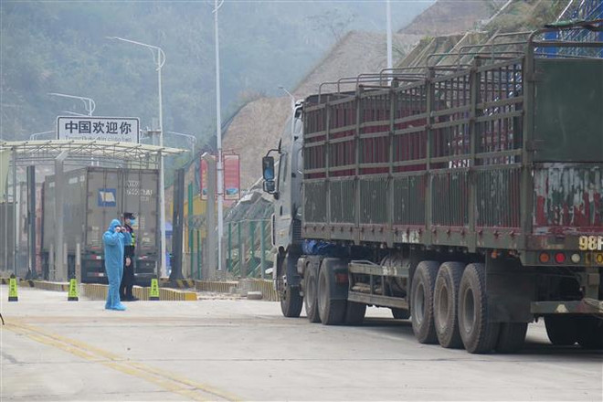 Xe hàng tại cửa khẩu Tân Thanh chuẩn bị xuất hàng sang Trung Quốc. (Ảnh: Quang Duy/TTXVN) Lượng hàng chờ xuất khẩu tại cửa khẩu phía Bắc ngày càng tăng ảnh 1