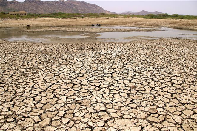 Nguy cơ sụp đổ hệ thống toàn cầu do khủng hoảng sinh thái ảnh 1