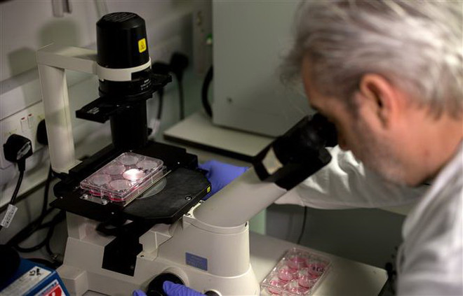 Nhà khoa học Anh Paul McKay nghiên cứu DNA của chuỗi virus corona chủng mới (2019-nCoV) tại phòng thí nghiệm của Đại học Y khoa Hoàng gia London ngày 10/2/2020. (Nguồn: AFP/TTXVN) Các nhà khoa học Anh thử nghiệm loại vắcxin ngừa corona trên chuột ảnh 1