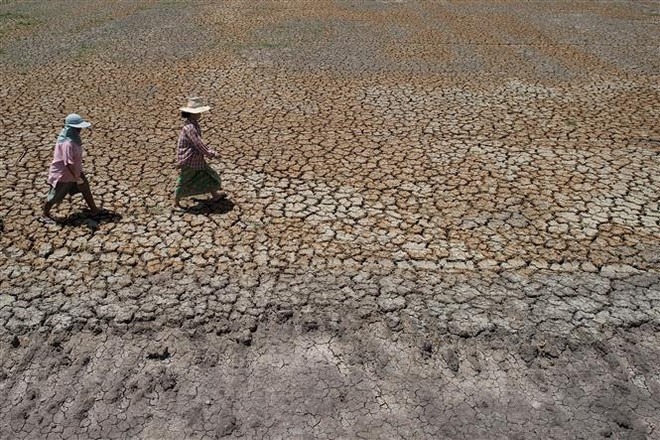 Cảnh khô hạn trên cánh đồng tại Bang Pla Ma, tỉnh Suphanburi, Thái Lan. (Nguồn: AFP/TTXVN) Thế giới vừa trải qua tháng Một nóng nhất trong lịch sử ảnh 1
