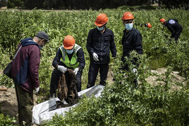 Quân đội Syria phát hiện hố chôn tập thể gần thủ đô Damascus ảnh 1