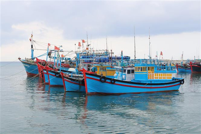 Tàu đánh bắt xa bờ. (Ảnh: Nguyễn Thành/TTXVN) Bình Thuận: Xử lý nghiêm tàu cá vi phạm vùng biển nước ngoài ảnh 1