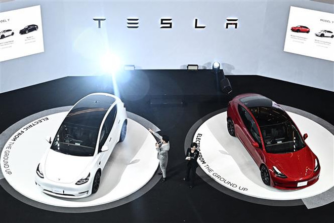 Tesla đưa xe điện sản xuất tại Trung Quốc xuất khẩu sang Canada ảnh 1