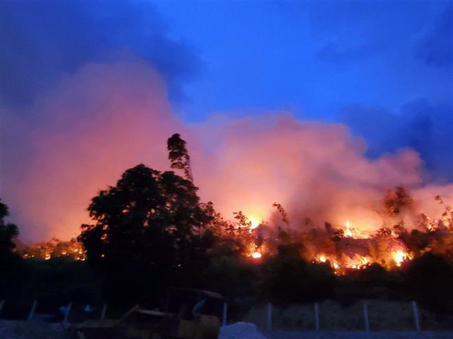 Thừa Thiên-Huế: Yêu cầu tạm dừng đốt thực bì để phòng chống cháy rừng ảnh 1