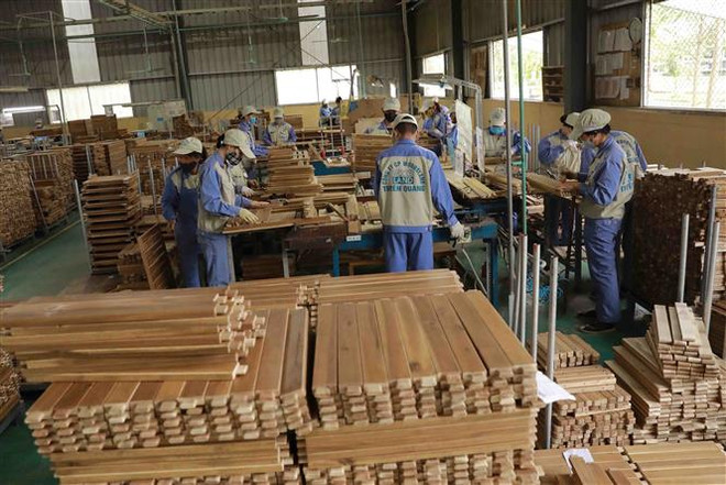 Tạo dòng vốn đón cơ hội phục hồi ngành nông, lâm, thủy sản ảnh 1