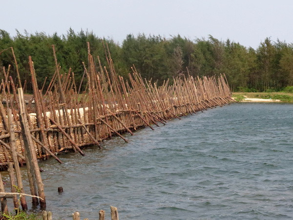 Nước ngọt đã về nhưng xâm nhập mặn vẫn diễn biến phức tạp ảnh 1