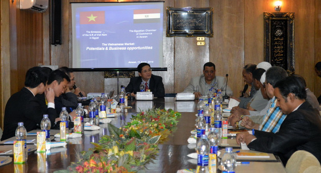 Ai Cập đề nghị miễn thị thực cho doanh nghiệp vào Việt Nam đầu tư ảnh 1