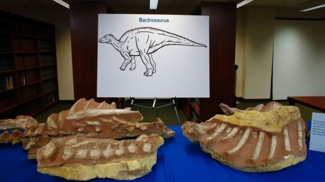 Mỹ trao trả hóa thạch của 6 loài khủng long cho Mông Cổ ảnh 1