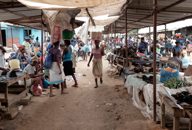  6 quốc gia châu Phi có thể "xóa sổ" bệnh sốt rét vào năm 2020 ảnh 1