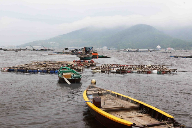 Bộ Công Thương lập đường dây nóng hỗ trợ thông tin thu mua hải sản ảnh 1