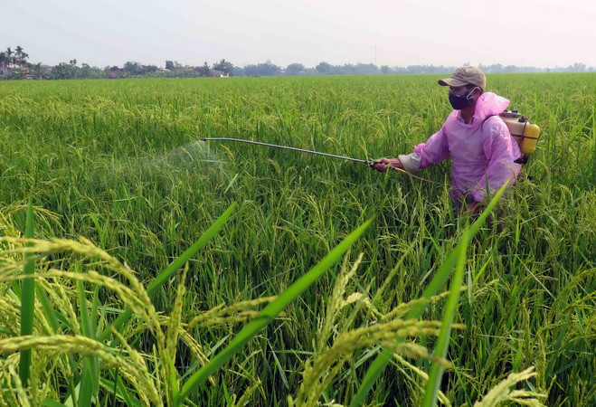 Hợp tác xã tiếp cận nguồn vốn tín dụng: "Tự bơi" là chính ảnh 1