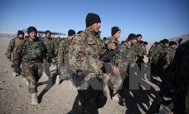 Quân đội Afghanistan đã bắt giữ một thủ lĩnh Taliban ảnh 1