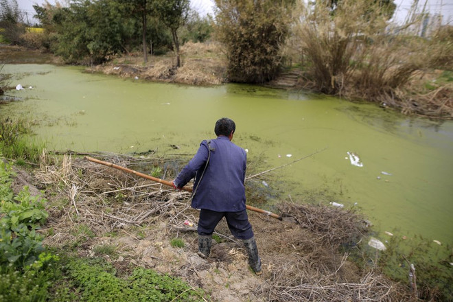 Trung Quốc: Quan chức quan tâm đến GDP hơn bảo tồn nguồn nước ảnh 1