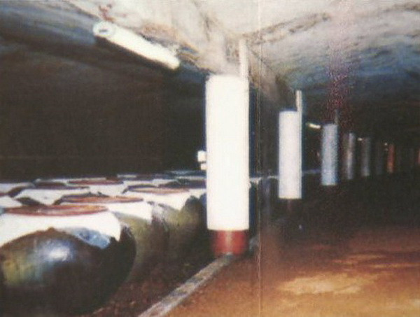 Hơn 1.800 con hổ được nuôi trong công viên để... ngâm rượu ảnh 3